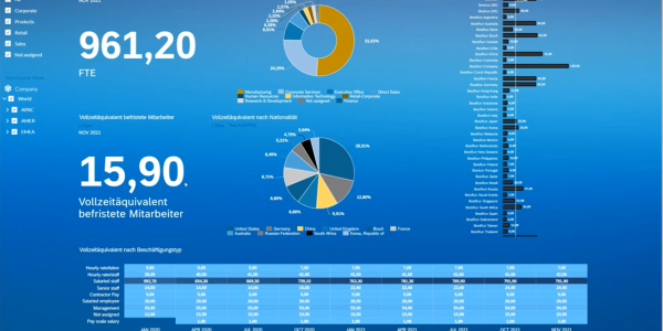 Webinar Mit HR Analytics versteckte Potentiale entfalten mit HR Performance